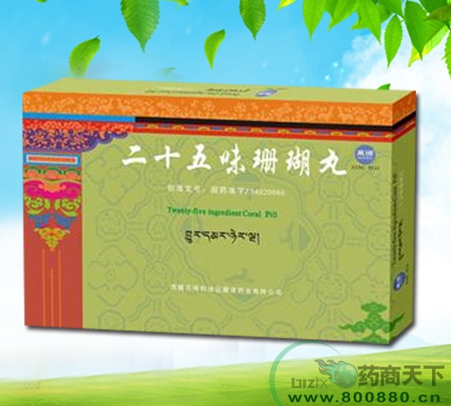 二十五味珊