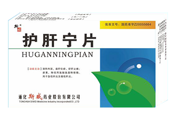 护肝宁片