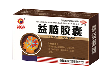 益脑胶囊