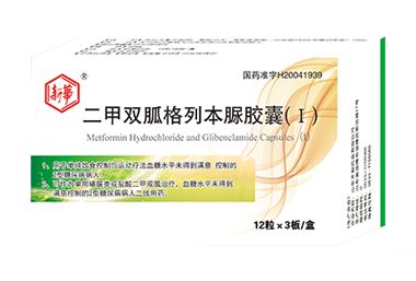 二甲双胍格列本脲胶囊(Ⅰ)
