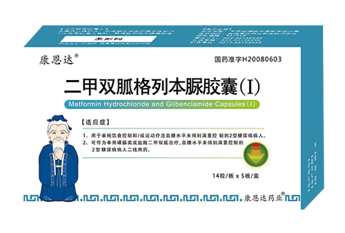 二甲双胍格列本脲胶囊（1）