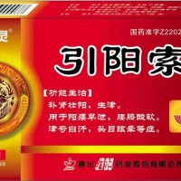 引阳索