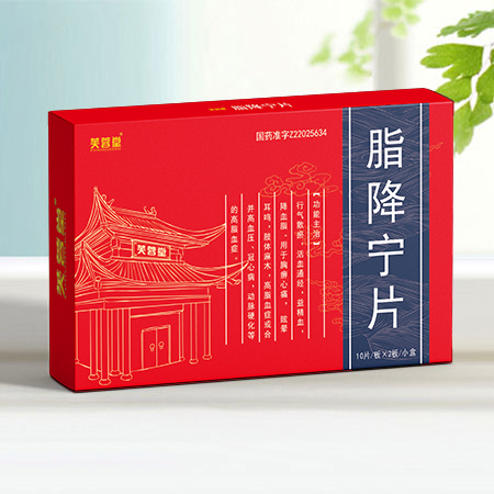脂降宁片