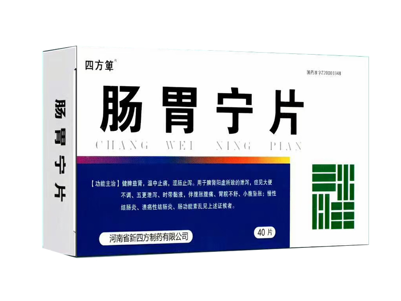 肠胃宁片